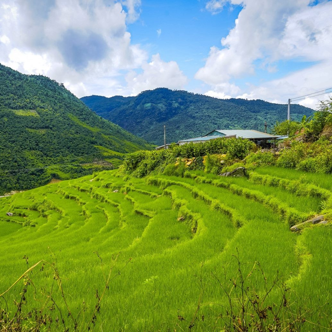 NORTHEAST VIETNAM CYCLING DISCOVERY MONG CAI - BINH LIEU - TIEN YEN 4 DAYS